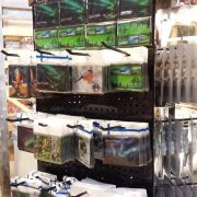 Lattiateline Jykevä